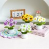 Crochet Potted Plant